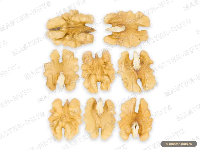 Halves (butterfly) – walnut kernels