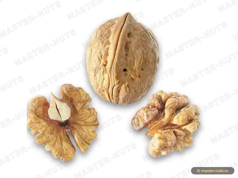 Xinpu in-shell walnuts – real product